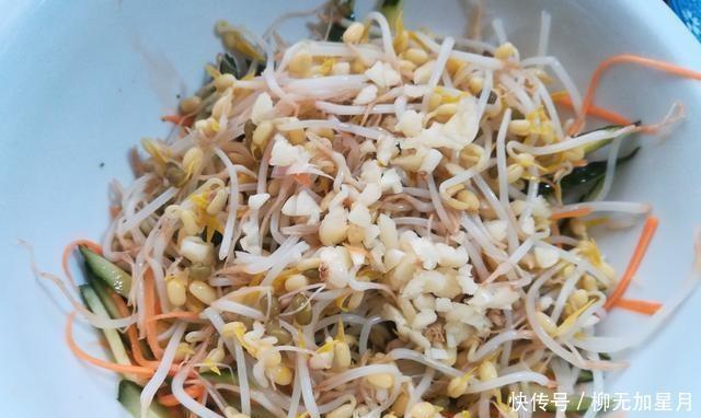 生津|冷蒜香三色绿豆芽使味道酸凉,酥脆生津