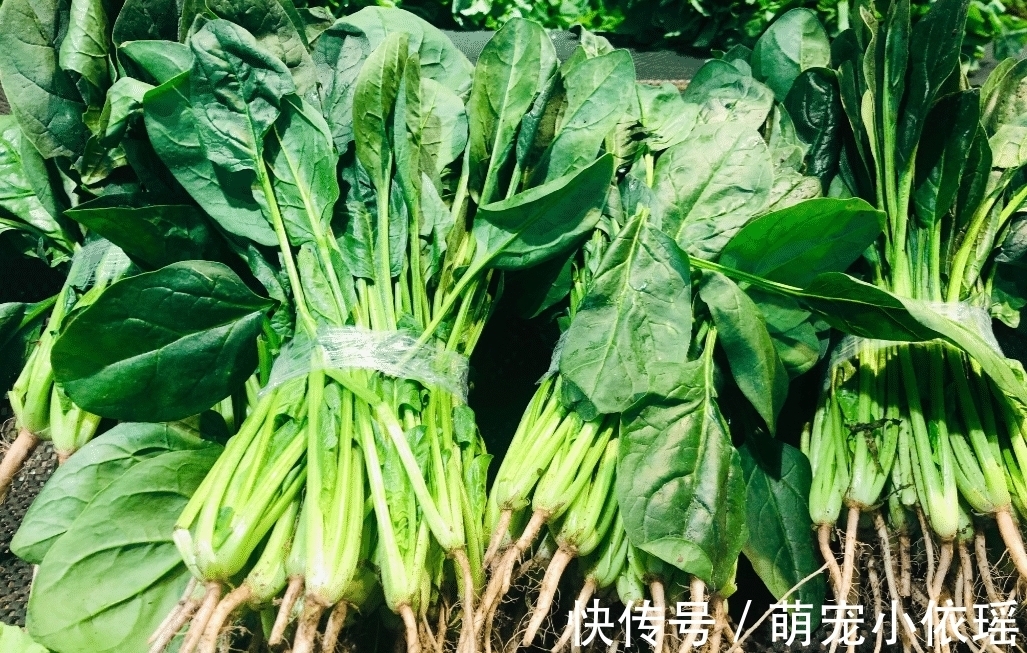 蔬菜|这六类蔬菜记得焯水后才吃,多数人都忽略,为了家人再懒也别做错