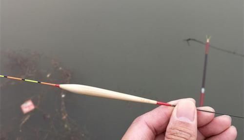 进食|野钓浮漂的选用和调漂原则,能否连竿上鱼,跟调漂关系很大!