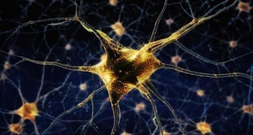 萃枫苷|55岁后,是长寿关键期!记住“1多3少”,助你和“老年病”绝缘