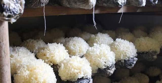 藏在身边的“天然安眠药”, 睡前吃一点, 让你告别失眠, 睡得香!