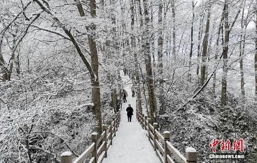 光雾|雪后光雾山雾凇美景让游客流连忘返