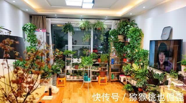 香雪兰|鲜花家里放,花旺“人不旺”,养花4个坑,人不健康,家不旺