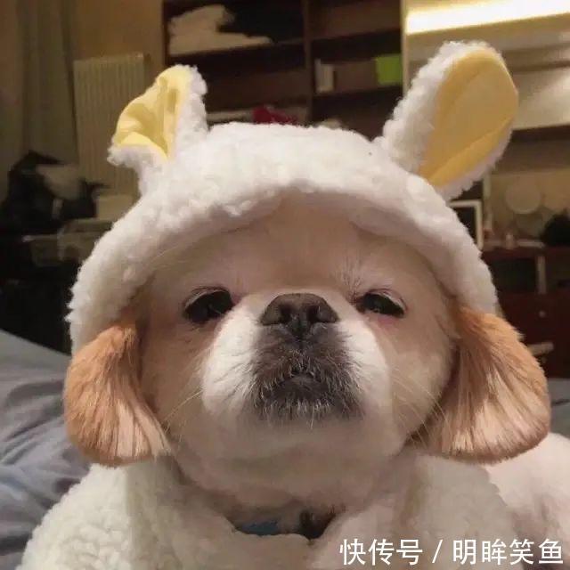 |搞笑GIF:虽然不知道小姐姐在讲什么,但你的笑容很甜啊