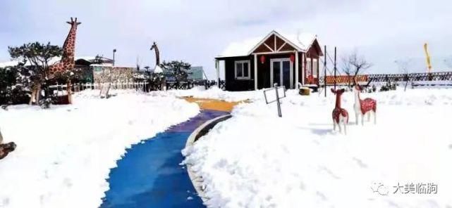 老年|淹子岭上雪