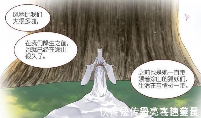 天外|狐妖小红娘官宣!竖耳狐就是前任涂山之主,还是雅雅的师傅