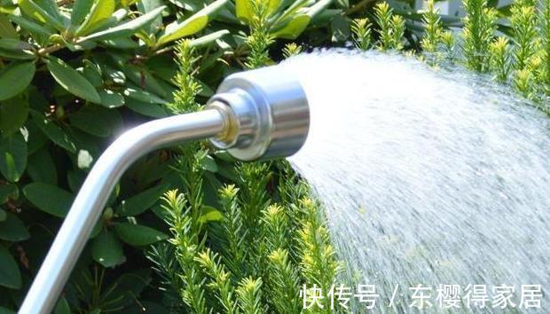 修剪|喜欢养花，先戒掉7个坏习惯，不然啥花也养不好，你占了几个？