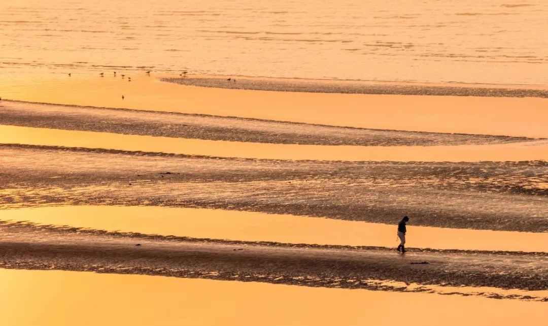 宋·@当你撑不下去时,最应该读的六首诗,给你前行的力量