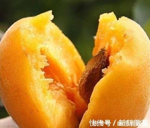 水果|水果核比果肉更有营养?医生:别傻了,3种果核别给孩子吃