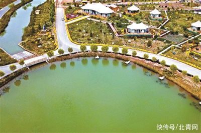 草地|林地、草地、湿地等净增2.6亿亩