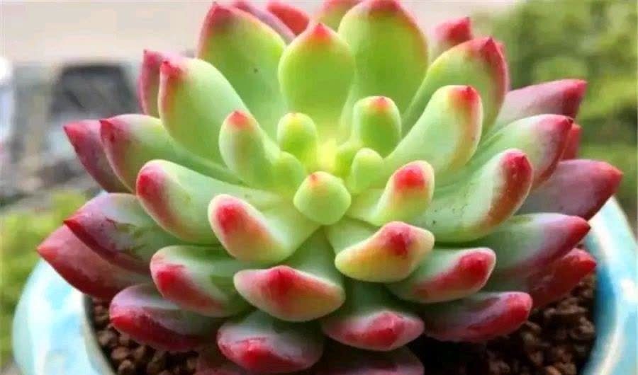 做个自律的人，不简单