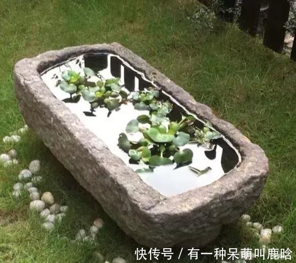 邻居捡破烂养花，全家都反对，栽上花后都笑了！