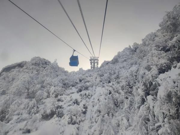 金佛山|南天湖、武陵山、金佛山还能不能去耍？最新消息来了！