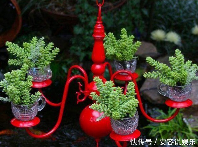 老婆用家里的废弃家具种花,朋友看到惊呆了