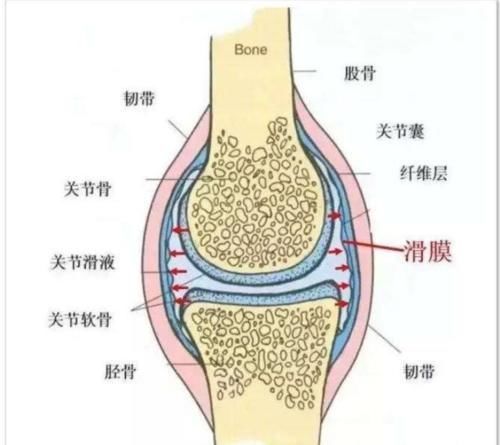 高跟鞋|膝关节疼痛难忍，直接影响正常工作生活，当膝关节损伤时该怎么办