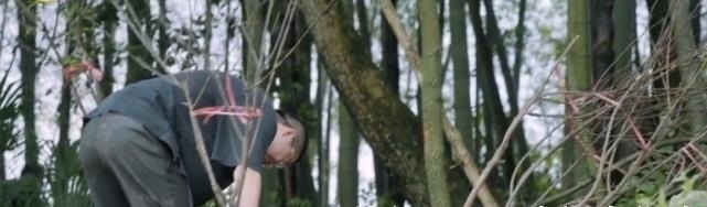 張藝興|搬樹苗也要找人幫黑衣大伯出現在李誕身后,網友真當觀眾們瞎