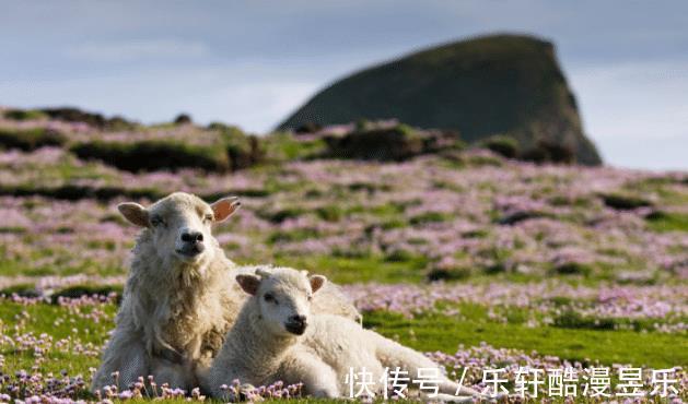 生肖鼠贵人|8月底，生肖羊、生肖虎、生肖鼠贵人助力，前程似锦，事业再高升