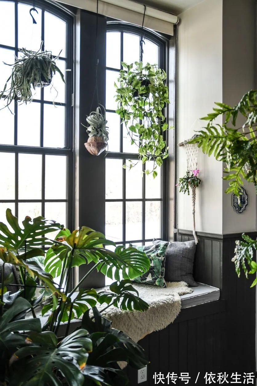 她在屋里种满500盆植物：呆在这样的房子里，生活更有了诗意！
