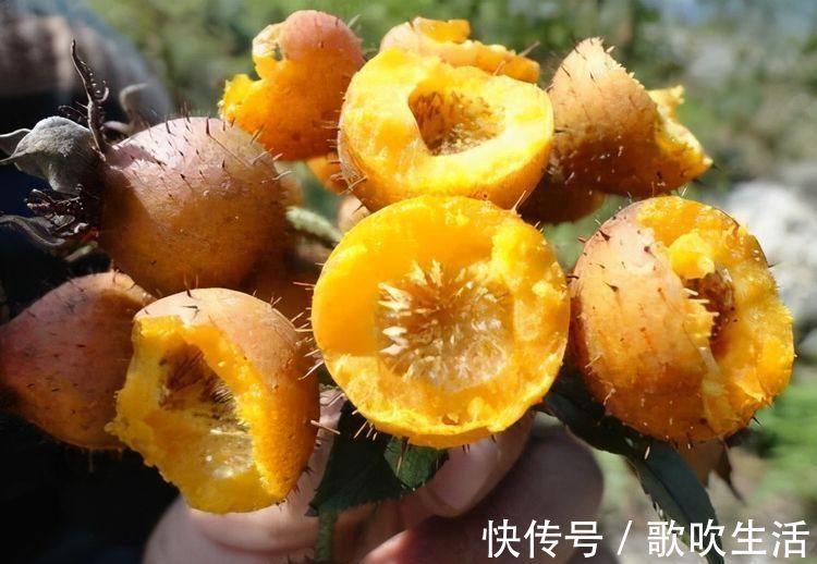 食物|冬天来了，多吃三种食物，延缓衰老，美容养颜，早吃早健康