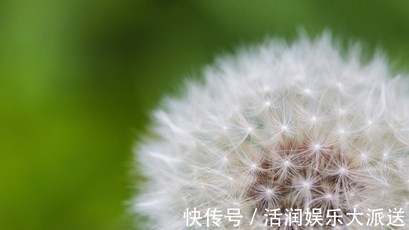 适应能力|十二生肖中,3生肖8月之前财神助运,金银爆满仓,大财统统入账!