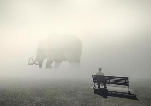 小家庭|究竟是夫妻亲,还是兄弟姐妹更亲?心理学家给出的答案特别统一