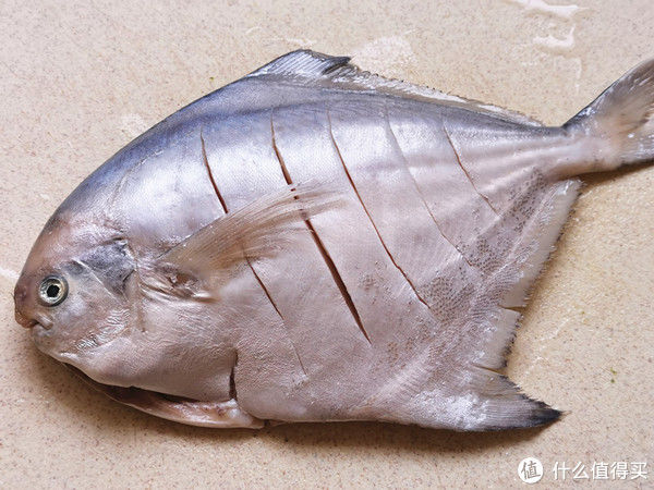 银鲳|清蒸鲳鱼在家做，鱼肉口感滑嫩没腥味，做法简单