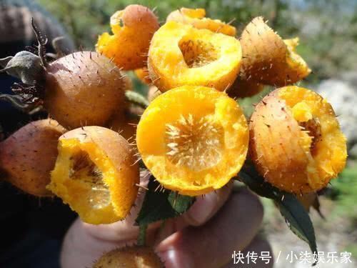 清肠|三伏天,三种食物可常吃,再贵也别省,排毒清肠,子宫更健康!