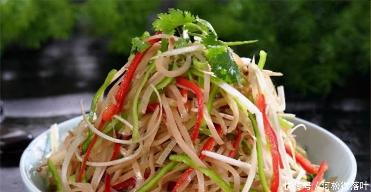 精选菜肴27款推荐,家常食材健康做法,让你吃得美味吃得有营养