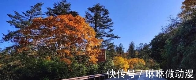 赏秋|彩林红叶季来袭！四川这14个赏秋好去处，本周起将进入最佳观赏期