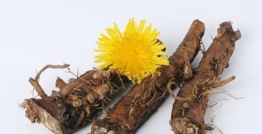 肝炎|开水里放几片，肝炎的“天敌”，每天喝一点，逼出多年肝毒