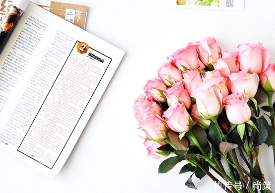 入驻|尚策资讯:生活需要仪式感,鲜花天猫入驻时代所驱