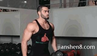 肌群|不去健身房,怎么练出一身肌肉附一周4练健身动图