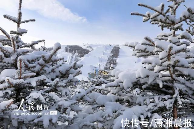 北京冬奥会|说说北京冬奥会的雪：人工造雪是“假雪”吗？