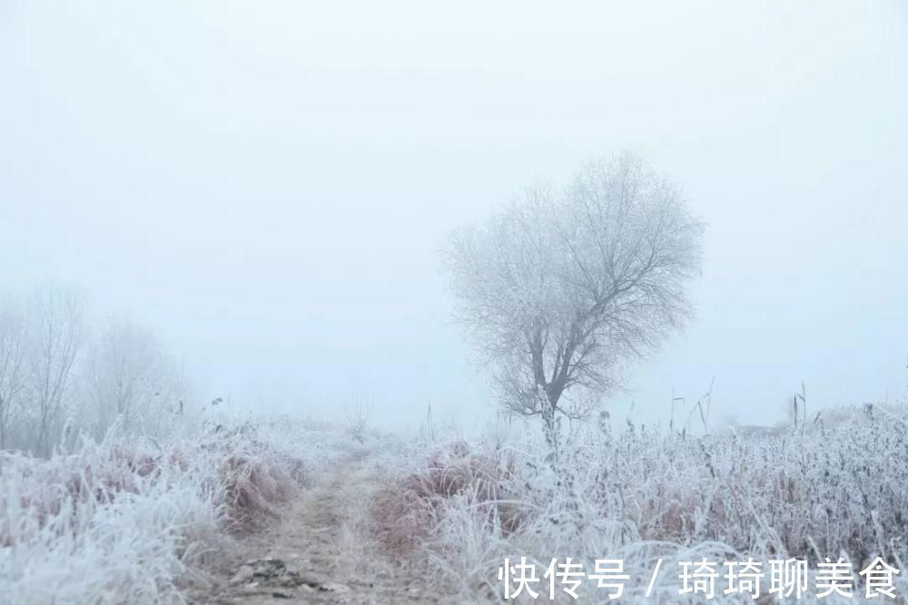 纳兰容若！这9首咏雪诗词，不带一个雪字，却写尽雪之美！叹为观止