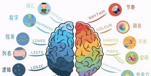 右脑|孩子有这3种表现,说明右脑很发达,好好培养将来更容易成为学霸