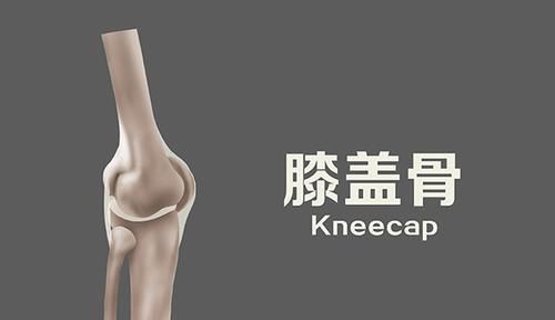 关节处|走路健身反而伤了膝盖,原因是什么运动时,如何做才不伤膝盖