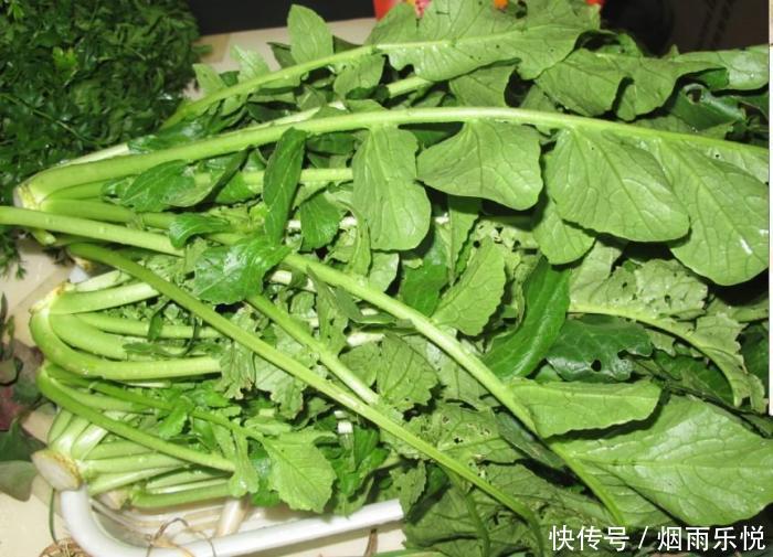 萝卜缨子常常被丢弃,殊不知这才是高级食材