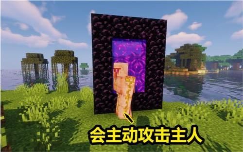 Minecraft国际版登录网站