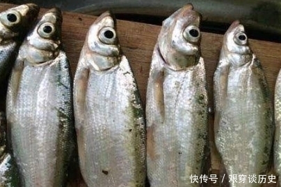 菜市场公认的“金牌”淡水鱼,价格便宜营养高,就连钟南山都喜欢