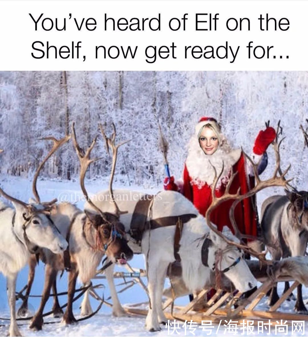 圣诞|讲真的｜外网圣诞出新梗#MyElf，今年meme不愁不够用