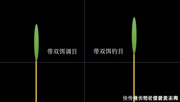 铅皮座|初夏手竿玩夜钓,可以不用浮漂,这种钓法更有乐趣,收获有保证