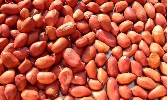 腰果|10种坚果营养排行榜，核桃为脑之果护脑标兵，可促进代谢！