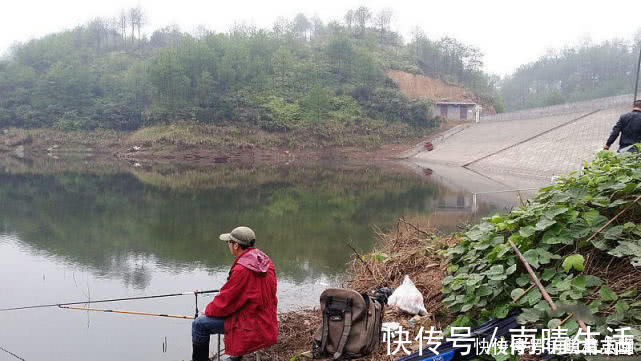 钓鱼|浮漂有动作，提竿却不中鱼，这种情况该如何应对