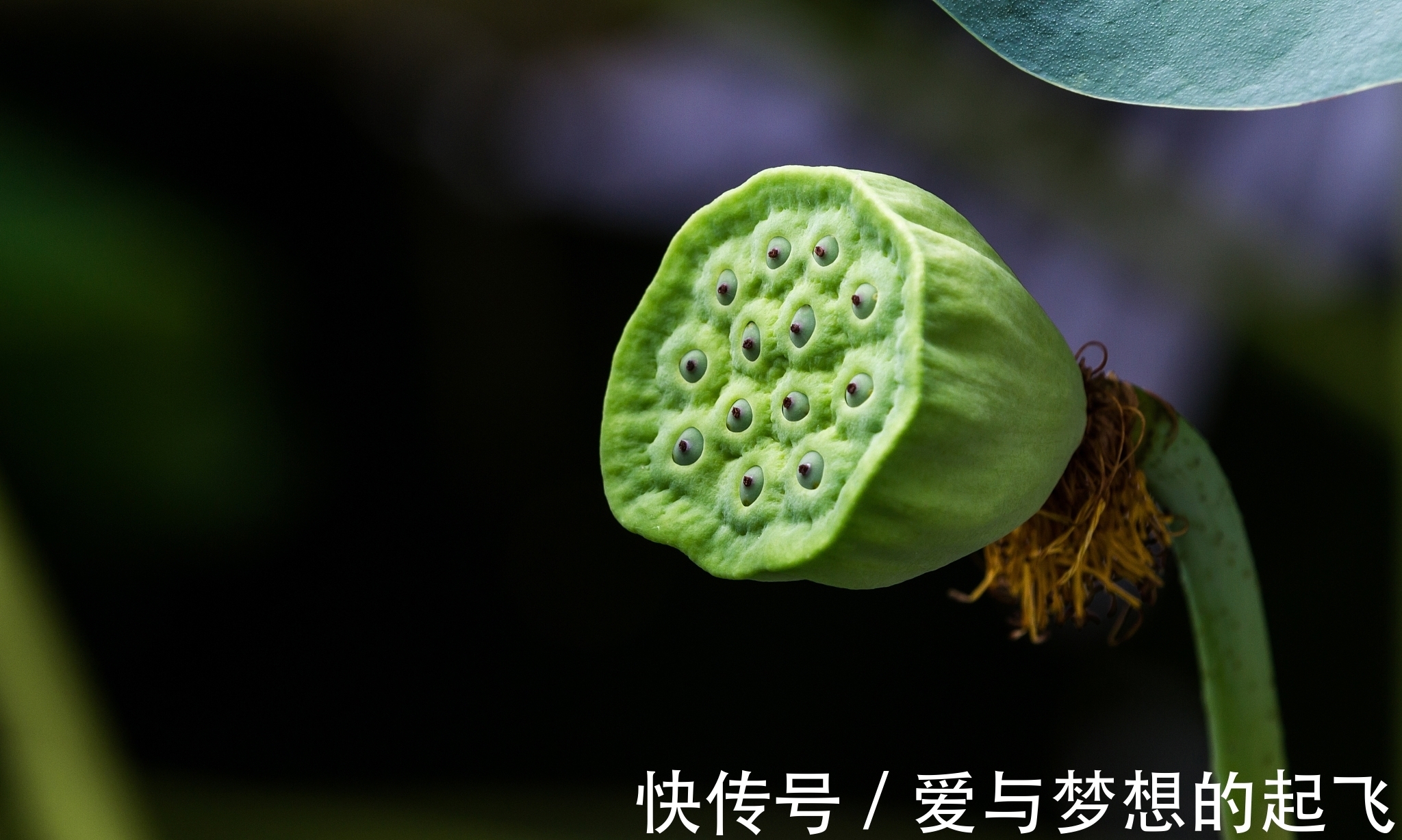 应聘者#好家风“贵”在“四”个字!