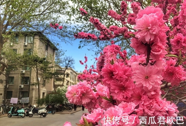 生肖|1月财星入命,事业越来越红火的3大生肖