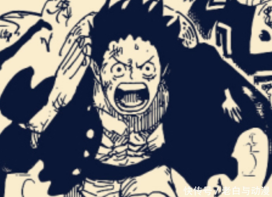 动向|海贼王997话情报:山治被抓获,索隆拿到抗体,下周休刊!