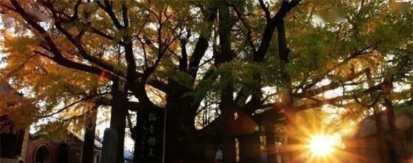 题字@郭沫若全国题字很多,仅一处与康生同题,网友称书法造诣不分伯仲