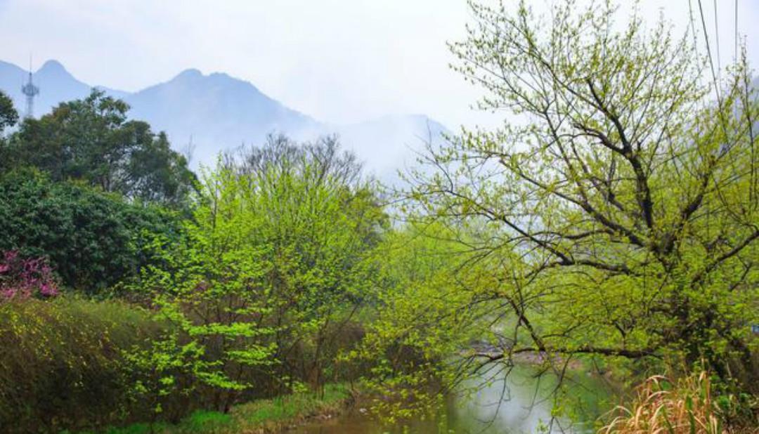  一辈子信佛的王维晚年隐居终南山，写下一首五律，每一句充满禅理