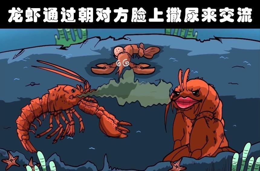 莫诺威|有趣事实这个世界上存在着的8个奇怪的冷知识