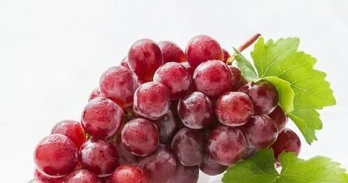 女人愛美，推薦3種食物，補充能量，潤腸通便，增強抵抗力